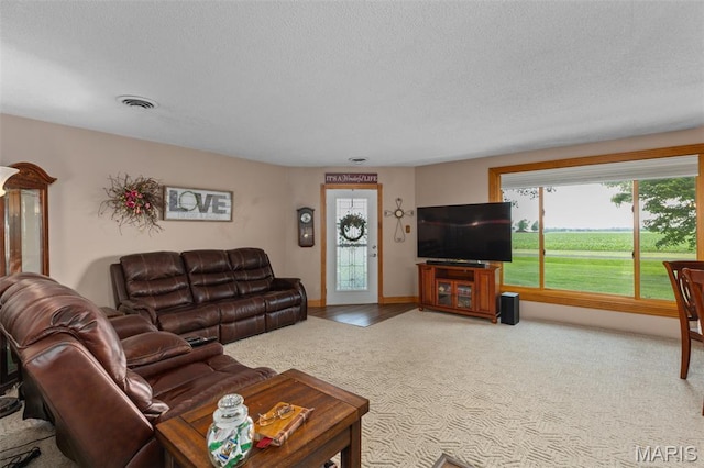 900 Montana St, Gillespie, IL 62033 - carpeted living room with healthy amount of natural light and a textured ceiling