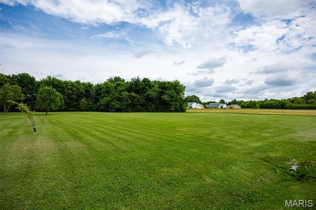 900 Montana St, Gillespie, IL 62033 - view of grassy yard