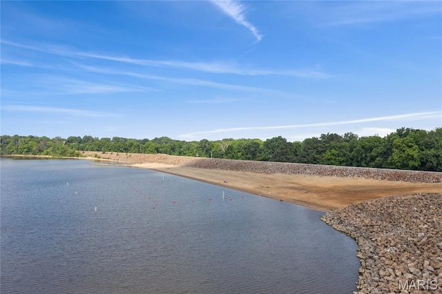 614 Main St, Keyesport, IL 62253 - water view featuring a heavily wooded area