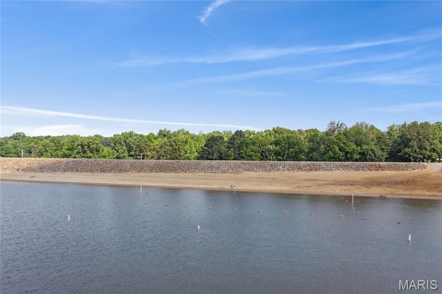 614 Main St, Keyesport, IL 62253 - water view featuring a heavily wooded area
