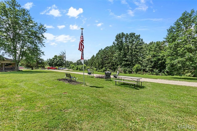 20292 Bcr 458, Marble Hill, MO 63764 - photo 9