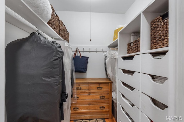 108 Lucys Lndg, Waterloo, IL 62298 - view of spacious closet