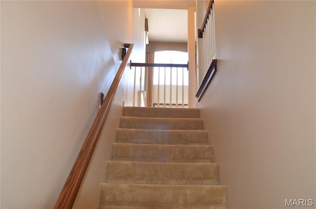 1313 Commons Cir, Cottleville, MO 63304 - view of staircase