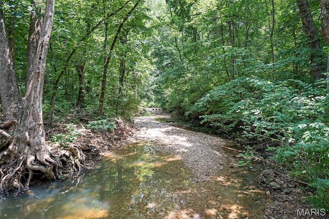 20220 Inverness Dr, Marthasville, MO 63357 - view of wooded area