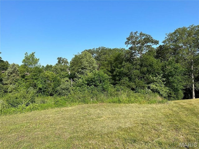 5248 Cherry Oak Ln, Smithton, IL 62285 - photo 8