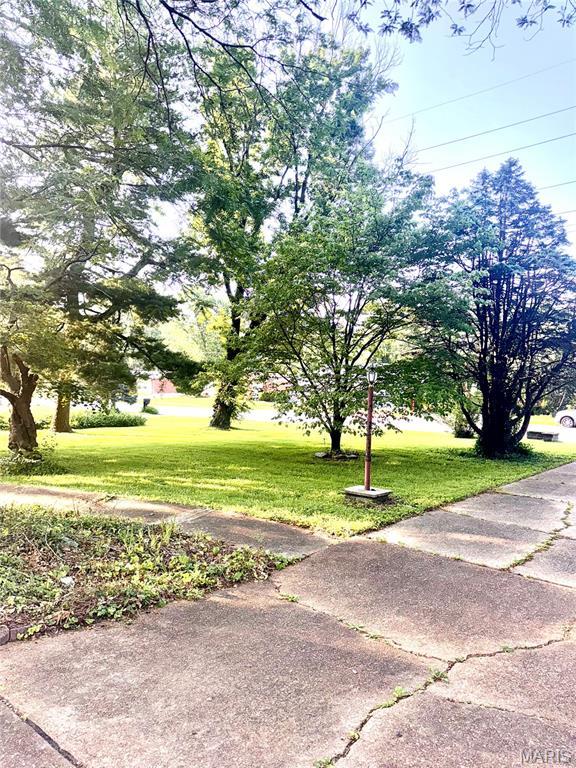 8361 Latty Ave, Hazelwood, MO 63042 - photo 48