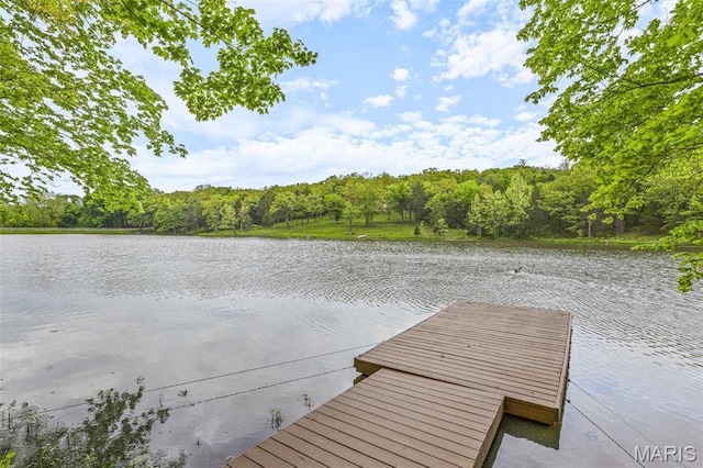 16 Howe Xing, Festus, MO 63028 - photo 4