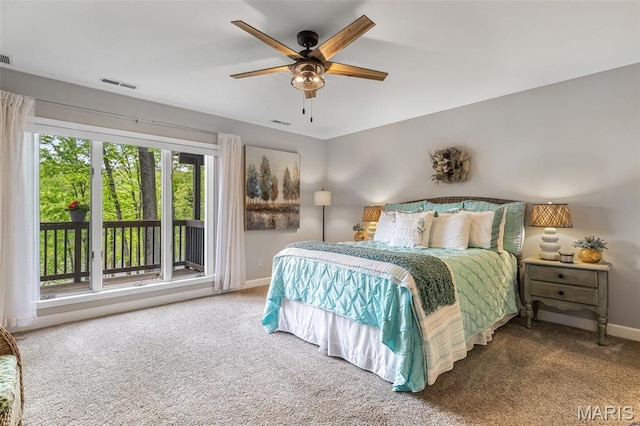 16 Howe Xing, Festus, MO 63028 - photo 41