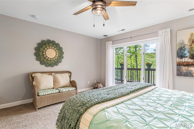 16 Howe Xing, Festus, MO 63028 - photo 45