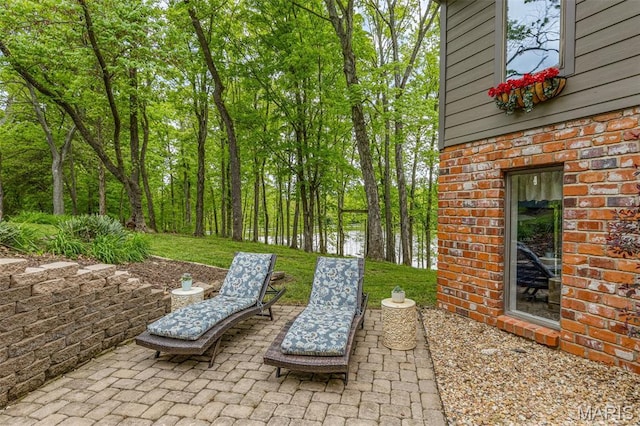 16 Howe Xing, Festus, MO 63028 - photo 49