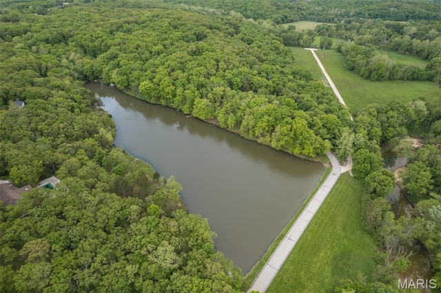 16 Howe Xing, Festus, MO 63028 - photo 57