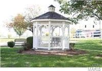 12574 Chardin Pl Unit 1, Tesson Ferry Township, MO 63128 - view of property's community