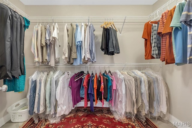 306 Essen Ln, Ballwin, MO 63021 - view of spacious closet