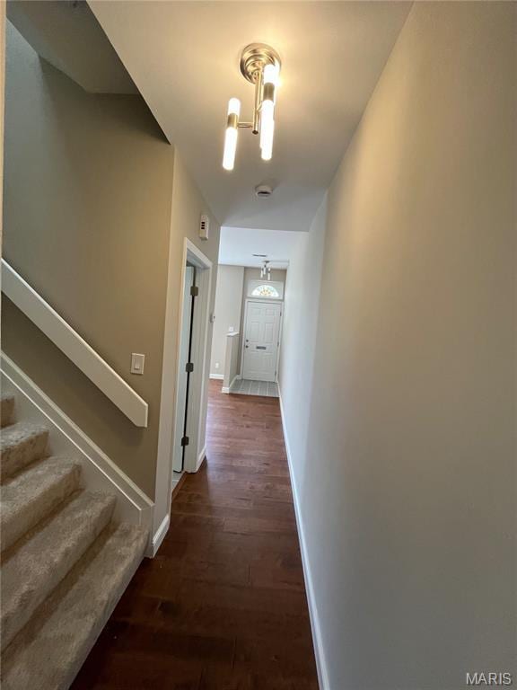 4419 Oakland Ave, Saint Louis, MO 63110 - photo 23