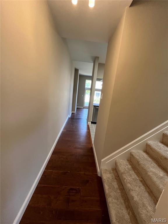 4419 Oakland Ave, Saint Louis, MO 63110 - photo 24