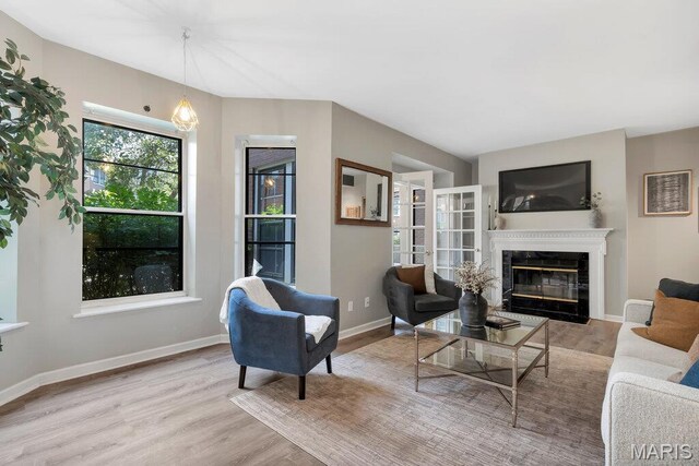 5858 Nina Pl # 1W, Saint Louis, MO 63112 - living room featuring a glass covered fireplace and wood finished floors