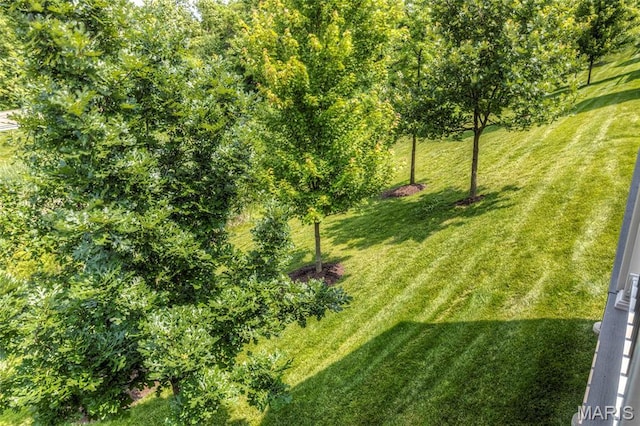 2216 Cournier St, Saint Charles, MO 63301 - view of grassy yard