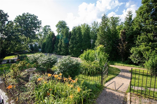 37 Joy Ave, Webster Groves, MO 63119 - view of yard