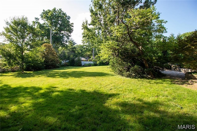 37 Joy Ave, Webster Groves, MO 63119 - view of green lawn