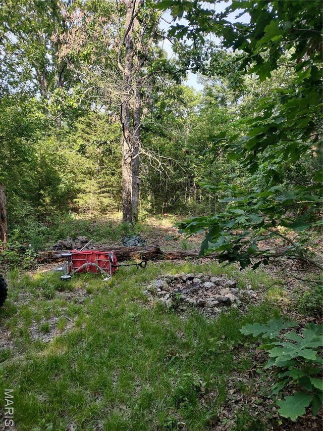000 Berry Rd, Falcon, MO 65470 - photo 4