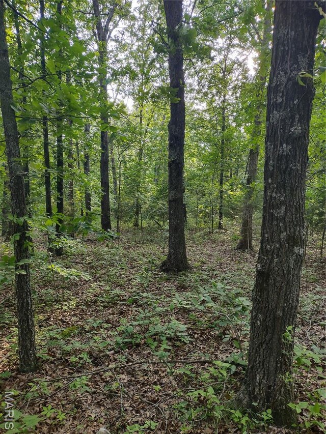 000 Berry Rd, Falcon, MO 65470 - photo 6