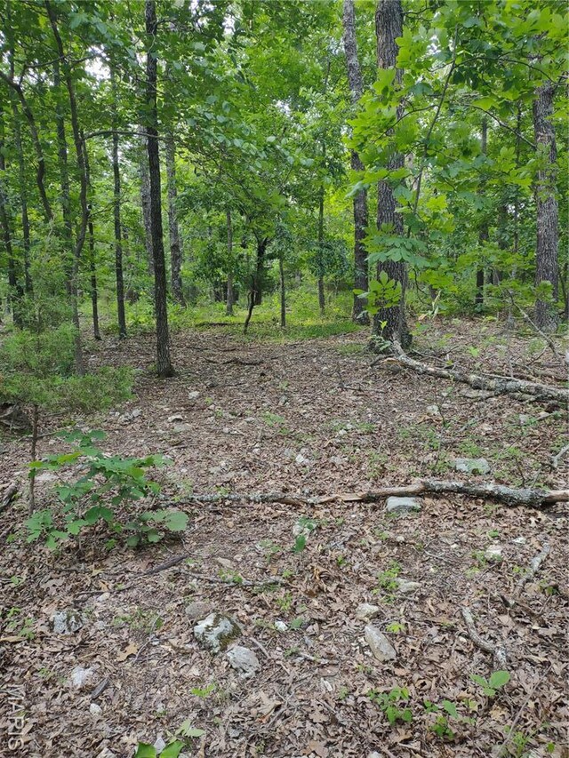 000 Berry Rd, Falcon, MO 65470 - photo 7