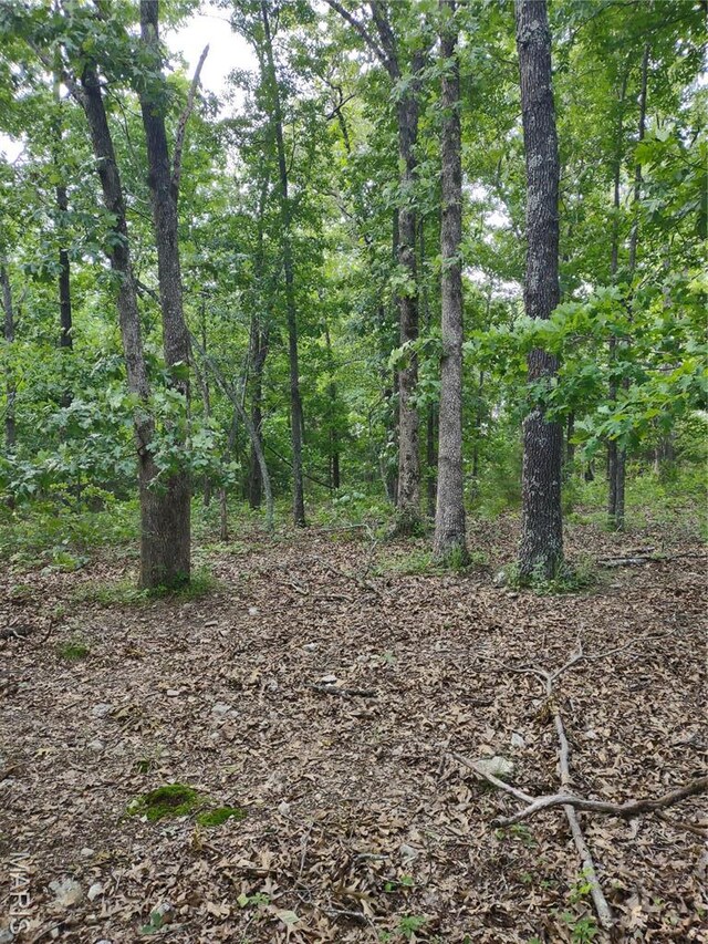 000 Berry Rd, Falcon, MO 65470 - photo 9