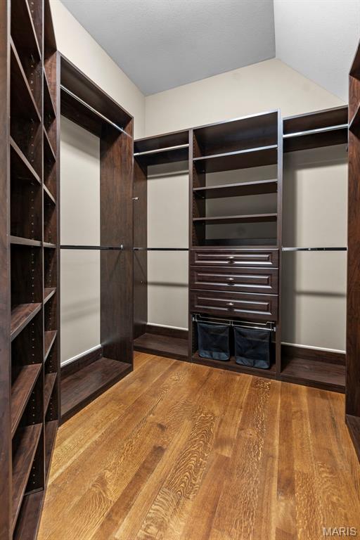 3046 Beaver Creek Cpe, Girardeau, MO 63701 - walk in closet featuring wood finished floors and lofted ceiling