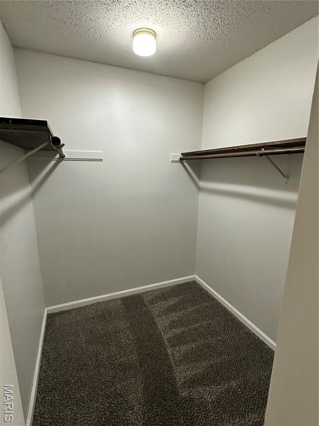 807 Corey Ct, Wentzville, MO 63385 - spacious closet featuring carpet flooring
