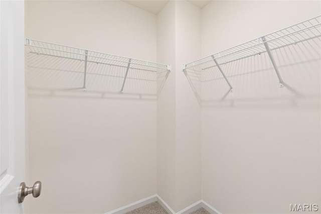 1720 Martingale Ln, Eureka, MO 63025 - walk in closet with carpet floors