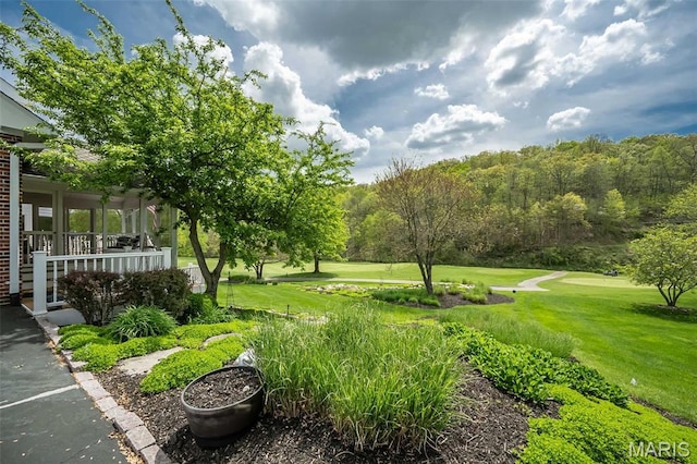 1417 Wheatfield Ln, Saint Albans, MO 63073 - view of grassy yard