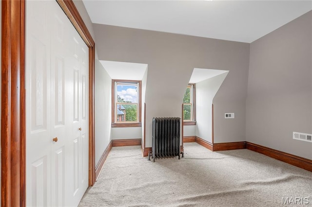 2910 Allen Ave, Saint Louis, MO 63104 - additional living space featuring radiator and light colored carpet