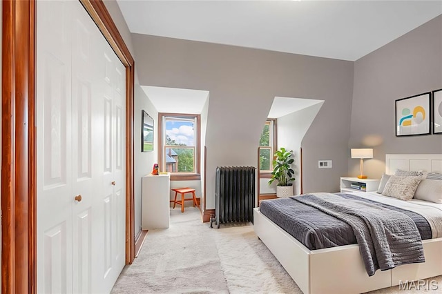 2910 Allen Ave, Saint Louis, MO 63104 - bedroom with radiator heating unit, light carpet, and a closet