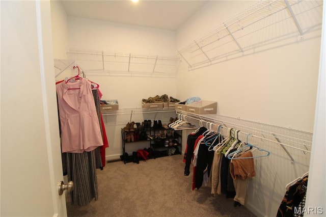 241 Dell View Dr, Arnold, MO 63010 - spacious closet with carpet floors
