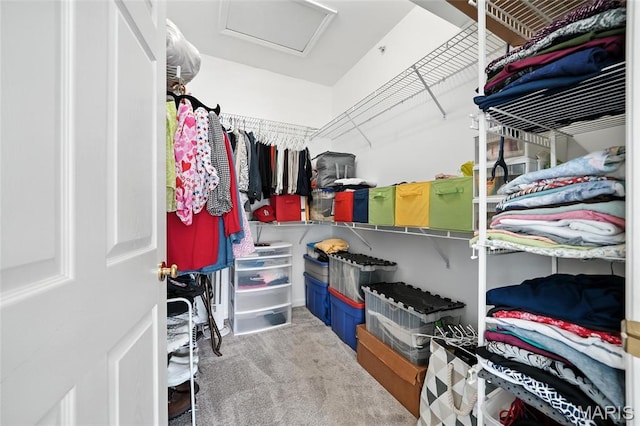 1275 Gardens Circle Drive E, Saint Louis, MO 63125 - walk in closet with attic access and carpet