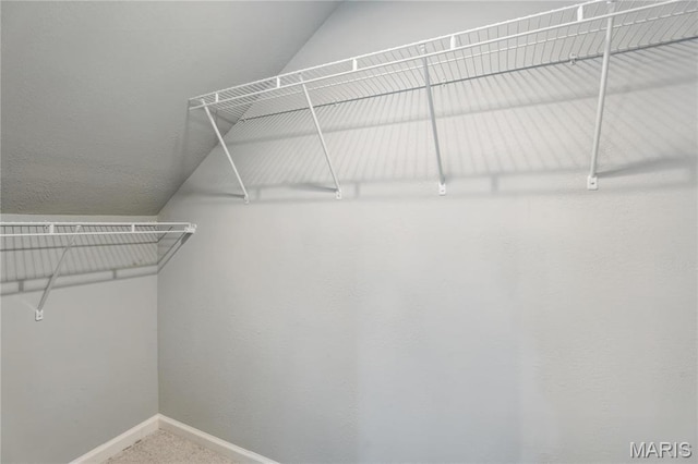 6838 Raymond Ave, Saint Louis, MO 63130 - walk in closet featuring vaulted ceiling and carpet