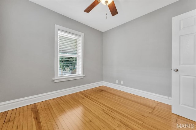 4064 Potomac St, Saint Louis, MO 63116 - photo 12