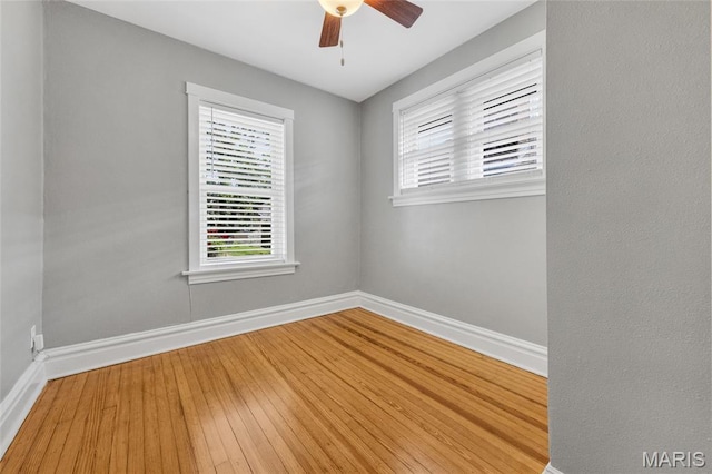 4064 Potomac St, Saint Louis, MO 63116 - photo 14