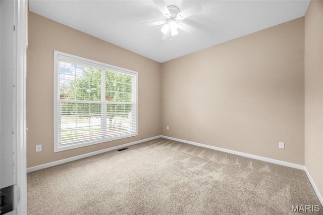 4024 Riverdell Dr, Wentzville, MO 63385 - photo 24