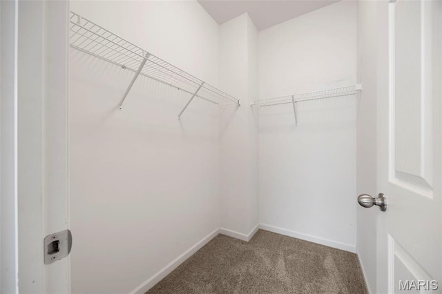 4024 Riverdell Dr, Wentzville, MO 63385 - photo 31