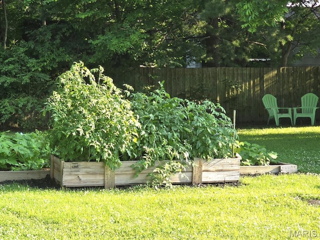 730 N Walnut St, Dexter, MO 63841 - view of yard featuring a garden