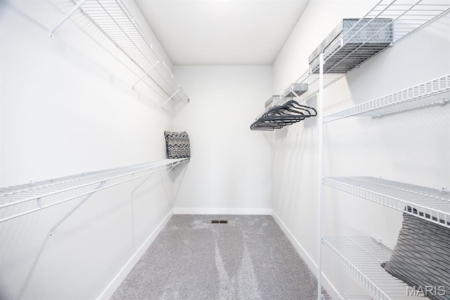 125 Chickasaw Ln, Ofallon, IL 62269 - walk in closet with carpet