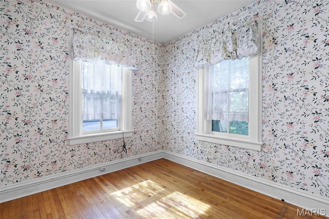 503 E State St, Union, MO 63084 - spare room with wood finished floors, plenty of natural light, a ceiling fan, and wallpapered walls