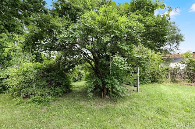 503 E State St, Union, MO 63084 - view of green lawn
