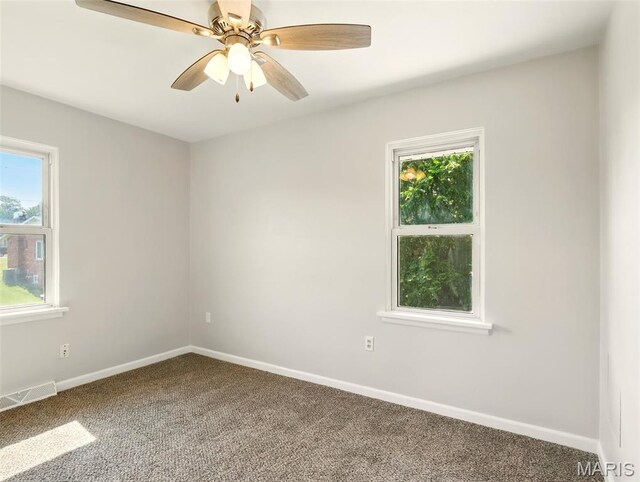5904 Wilson Dr, Belleville, IL 62223 - photo 10