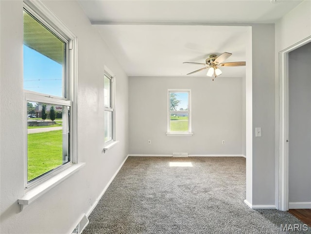 5904 Wilson Dr, Belleville, IL 62223 - photo 13
