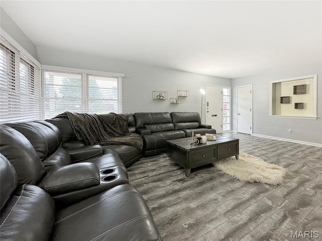 1001 Pike St, Saint Charles, MO 63301 - living area with wood finished floors and plenty of natural light