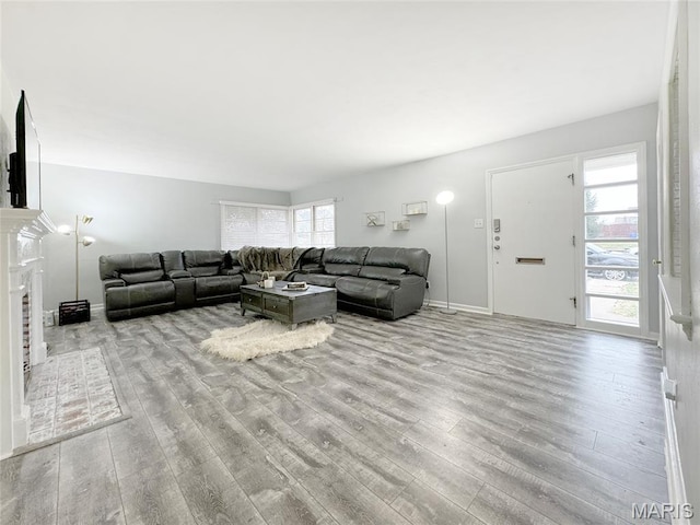 1001 Pike St, Saint Charles, MO 63301 - living room featuring wood finished floors and a fireplace