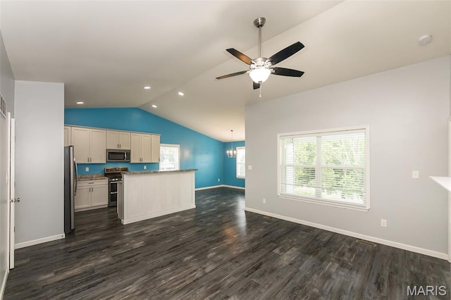 17458 Wyman Ridge Dr, Eureka, MO 63025 - kitchen with stainless steel appliances, lofted ceiling, dark wood-style flooring, a ceiling fan, and open floor plan