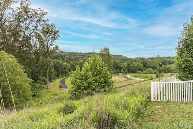 17458 Wyman Ridge Dr, Eureka, MO 63025 - view of yard with a view of trees